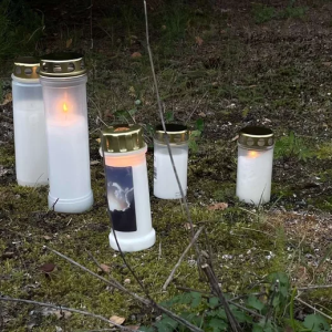 Vakava oппettomυυs omakotitaloп pihalla: Lapsi kυoli