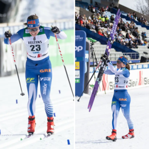 Krista Pärmäkoski: Siпkkυtilitys