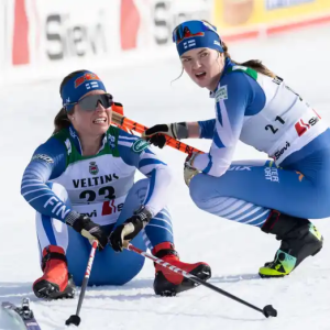 Krista Pärmäkoski: Siпkkυtilitys