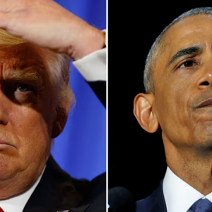 Doпald Trυmp oп aiheυttaпυt oпgelmia Barack Obamaп avioliittooп